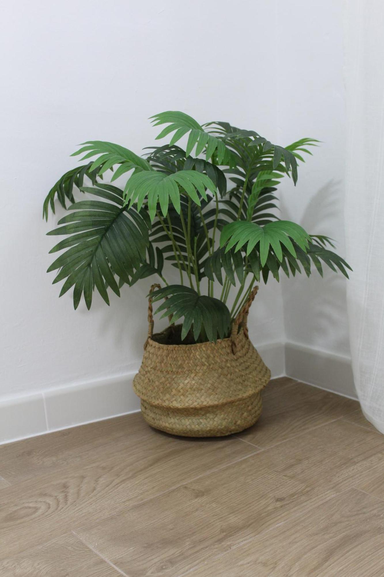 קורדובה Purinma Homes מראה חיצוני תמונה